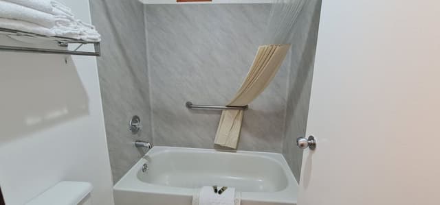 Single Room, 1 King Bed