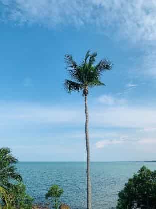 Rock Hill Beach Resort Rock Hill Beach Resort