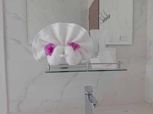Family Studio, Bathtub