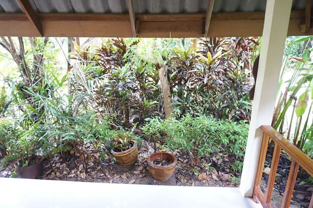 Standard Bungalow (Double Bed)