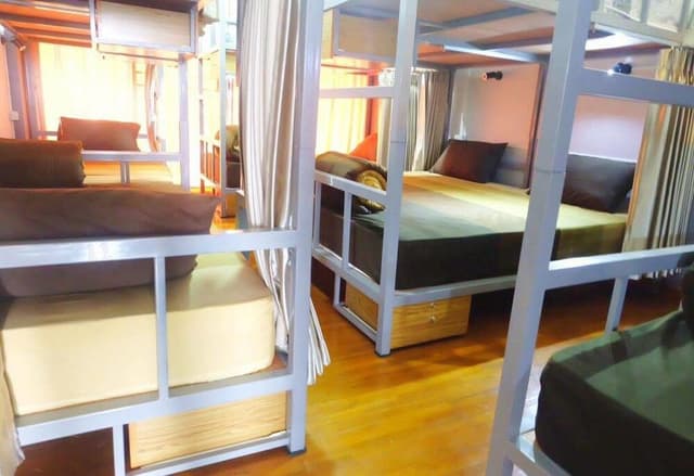 Mixed Shared Dormitory 2