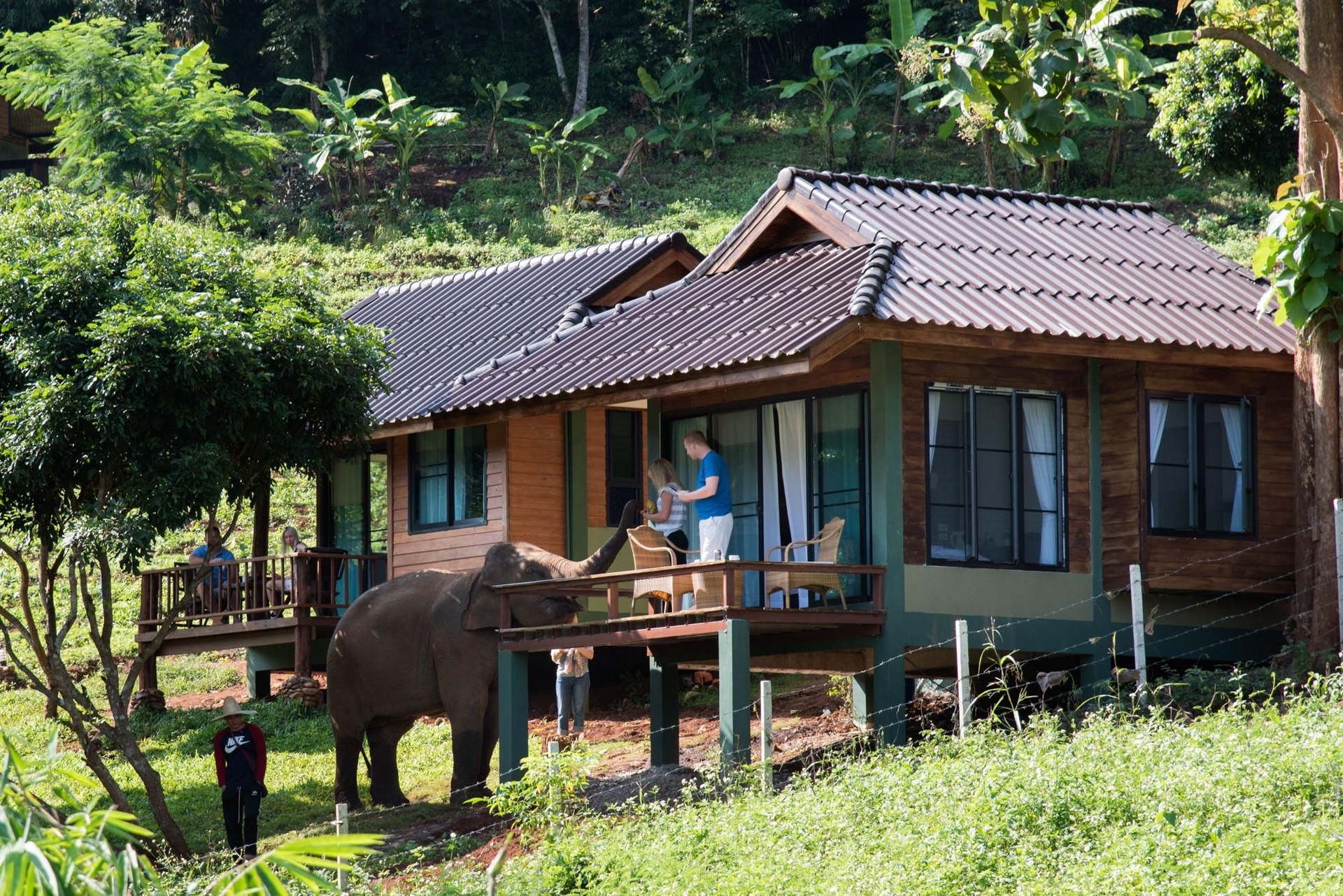 Chiang Mai Elephant Friends1