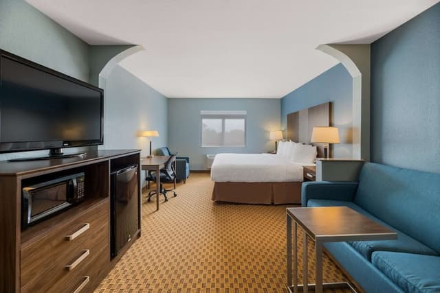 Suite, 1 King Bed, Non Smoking, Refrigerator & Microwave (with Sofabed)