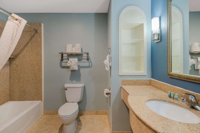 Suite, 1 King Bed, Non Smoking, Refrigerator & Microwave (with Sofabed)