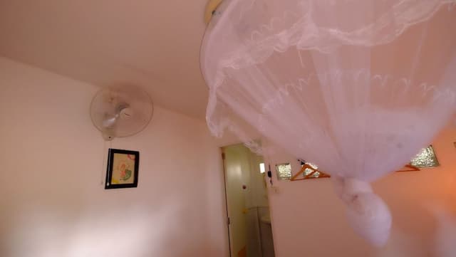 Fan Room