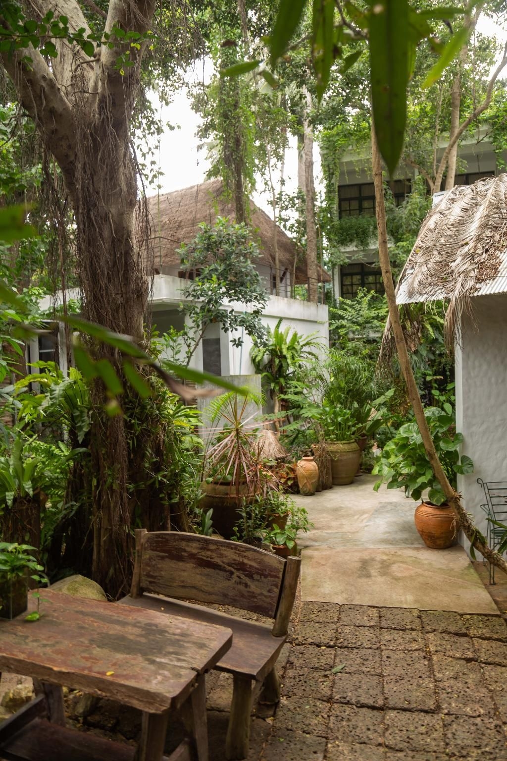 Big Tree Boutique Hotel1