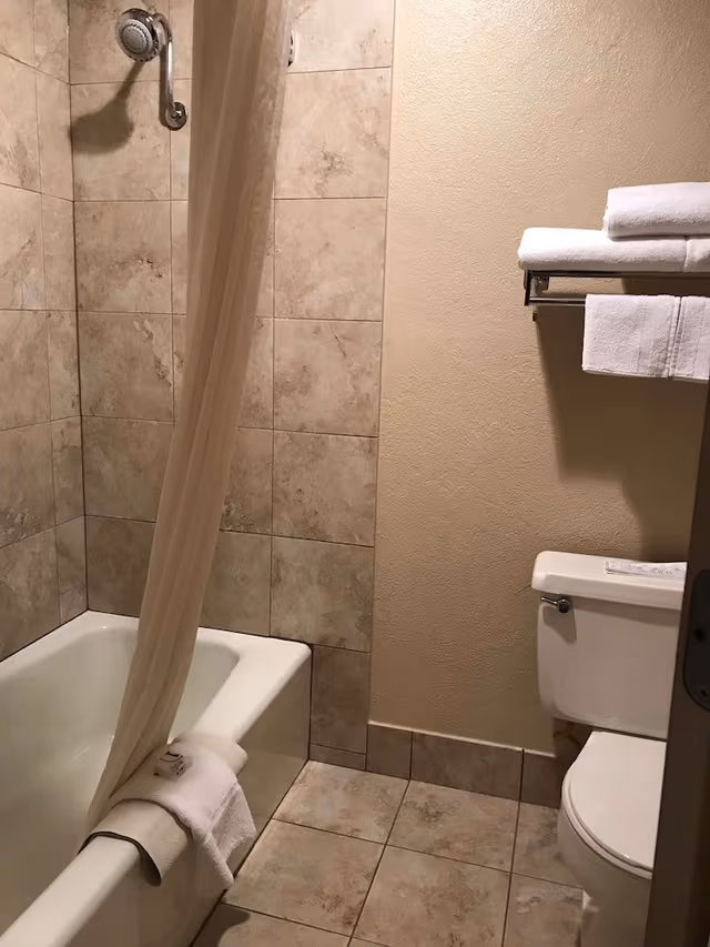 Deluxe Room, 1 King Bed, Non Smoking, Refrigerator & Microwave