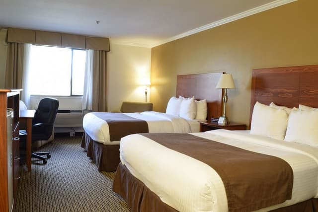 Standard Room, 2 Queen Beds, Non Smoking, Refrigerator & Microwave (Pet Friendly)