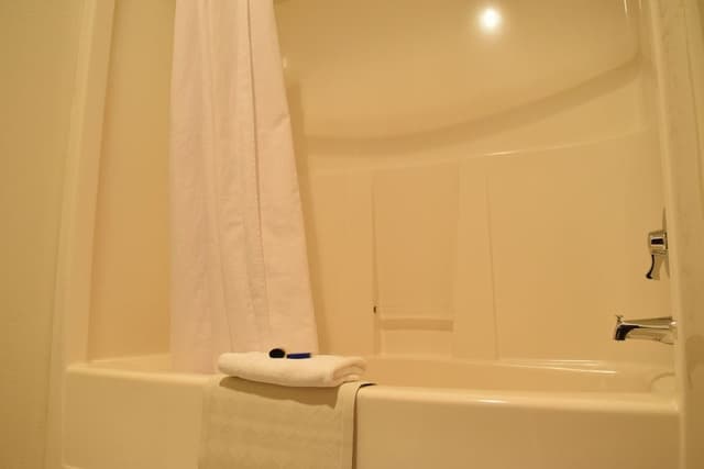 Standard Room, 1 King Bed, Non Smoking, Refrigerator & Microwave (Pet Friendly)