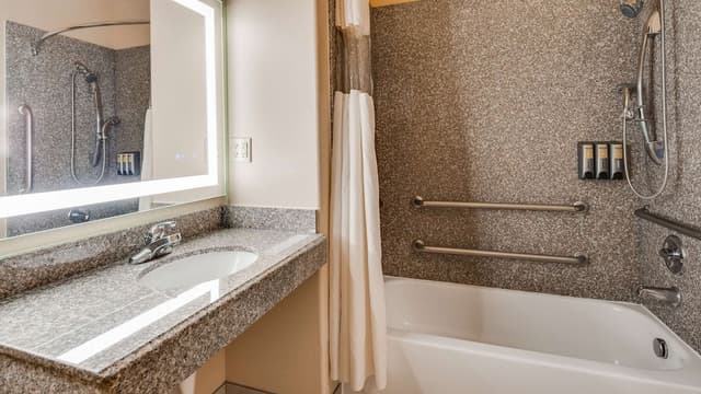Standard Room, 1 Queen Bed, Accessible, Refrigerator & Microwave