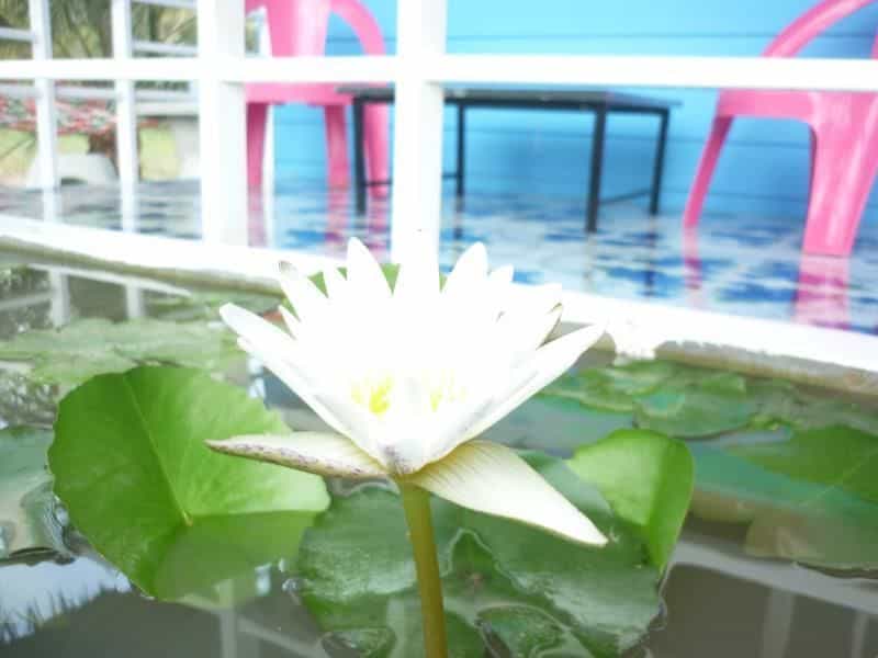 Maneemudjalin Resorts Farm Stay Maneemudjalin Resorts Farm Stay