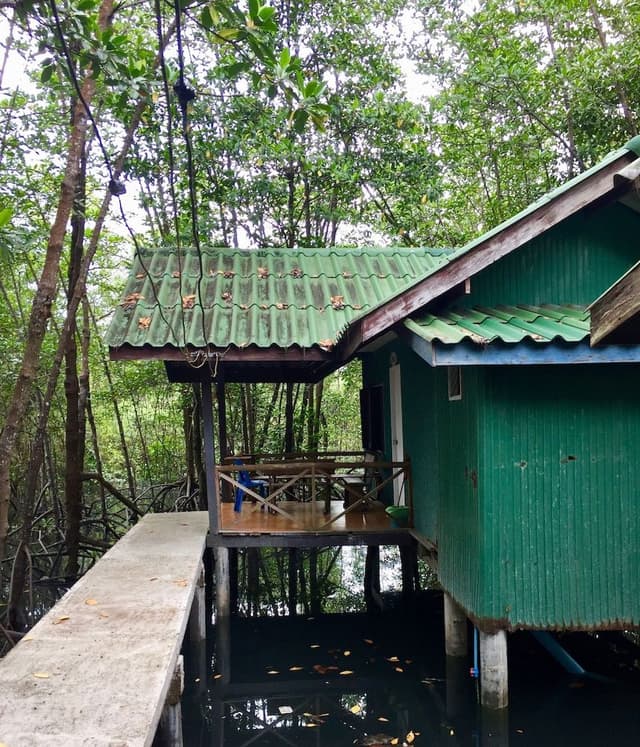 Mangrove Hut (NON AC, FAN ONLY)