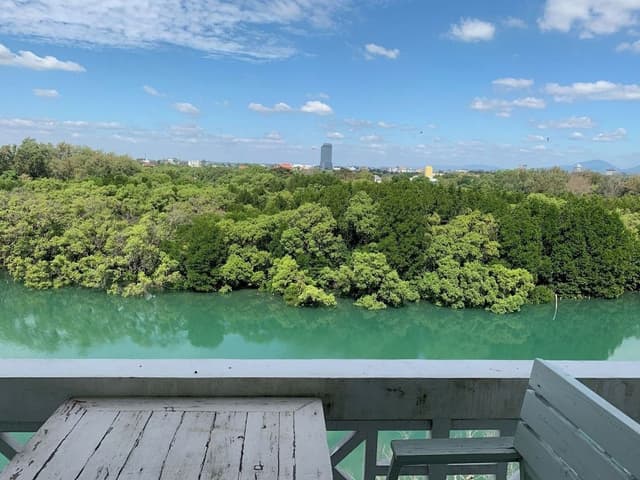 Superior Double Room with River View