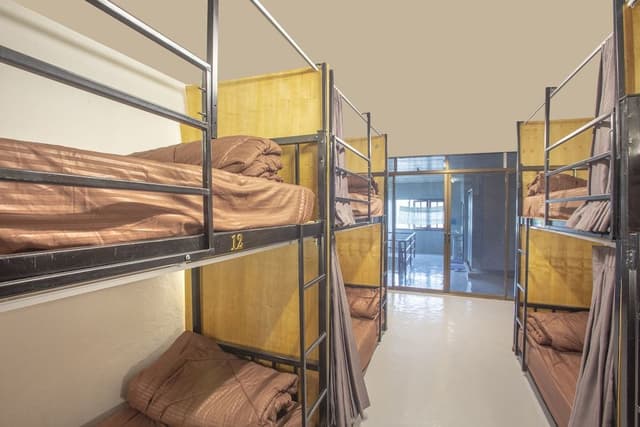 Shared Dormitory, Mixed Dorm