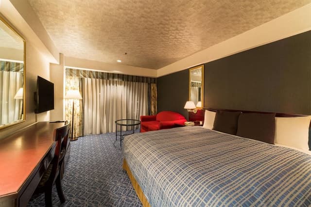 Superior Room, 1 King Bed, Non Smoking