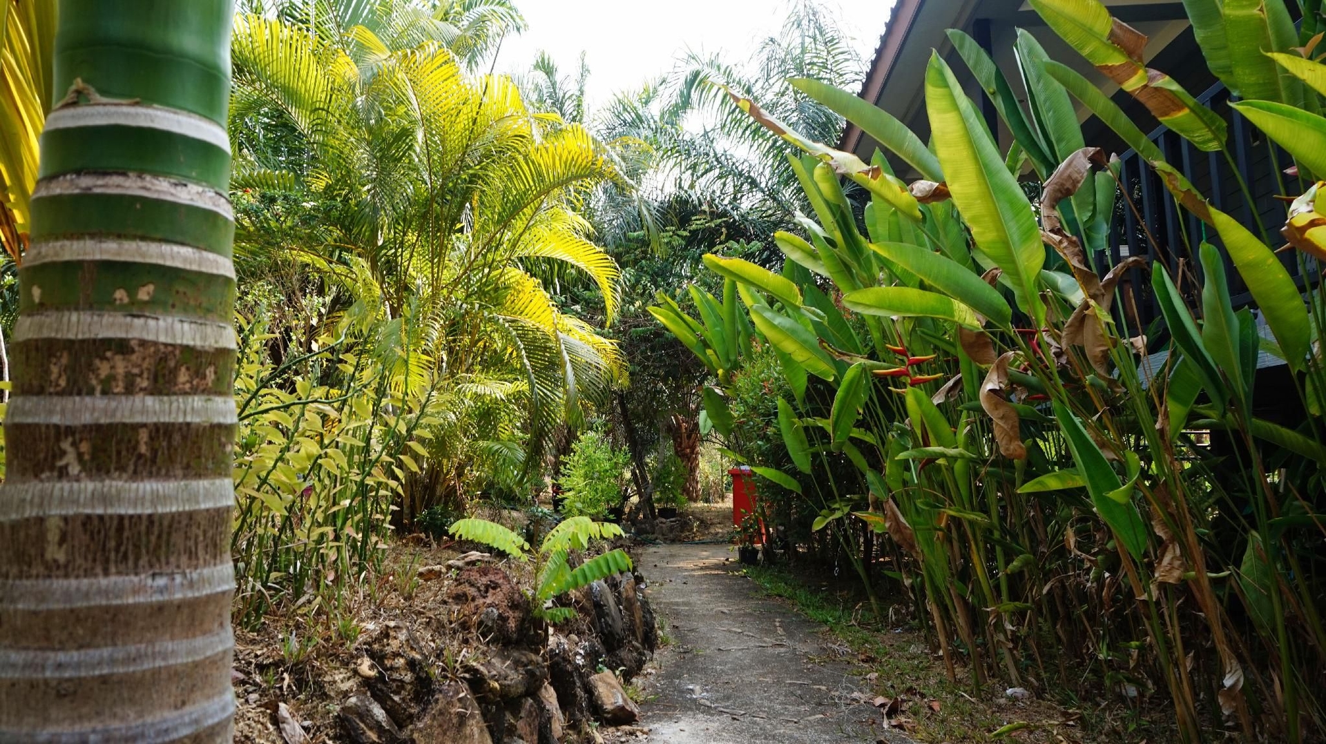 บ้านรีนา รีสอร์ต (Baan Reena Resort)3