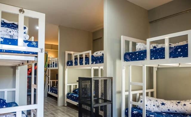 Shared Dormitory, Mixed Dorm