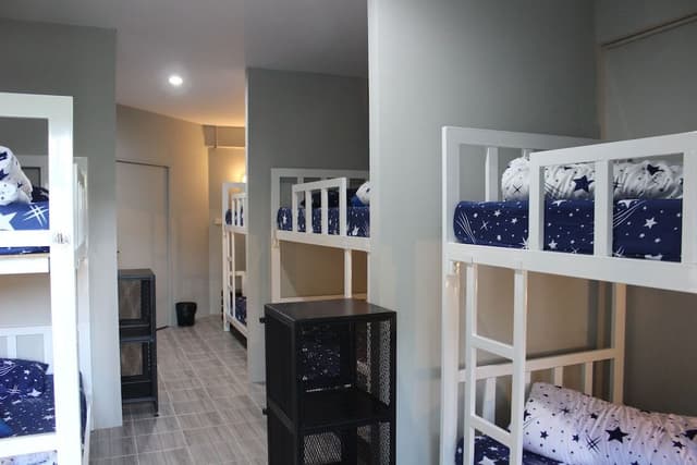 Shared Dormitory, Mixed Dorm