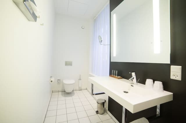 Business Double Room (SPA-access not included)