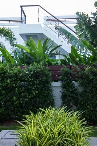 Luxury House in Hua Hin Luxury House in Hua Hin
