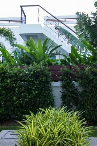 Luxury House in Hua Hin Luxury House in Hua Hin