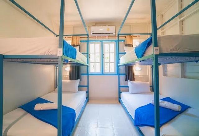 Bed in 4 Bed Mixed Dormitory