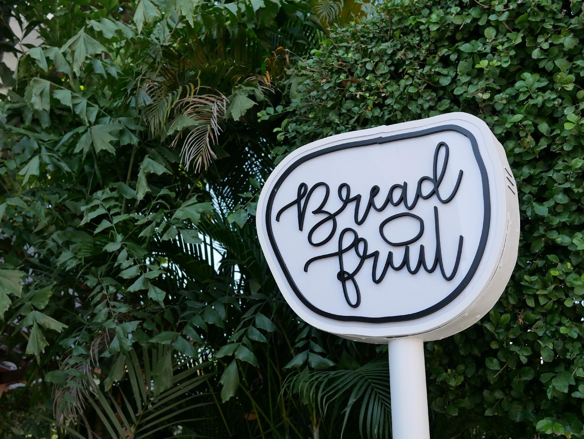 เบรดฟรุต (Breadfruit)1