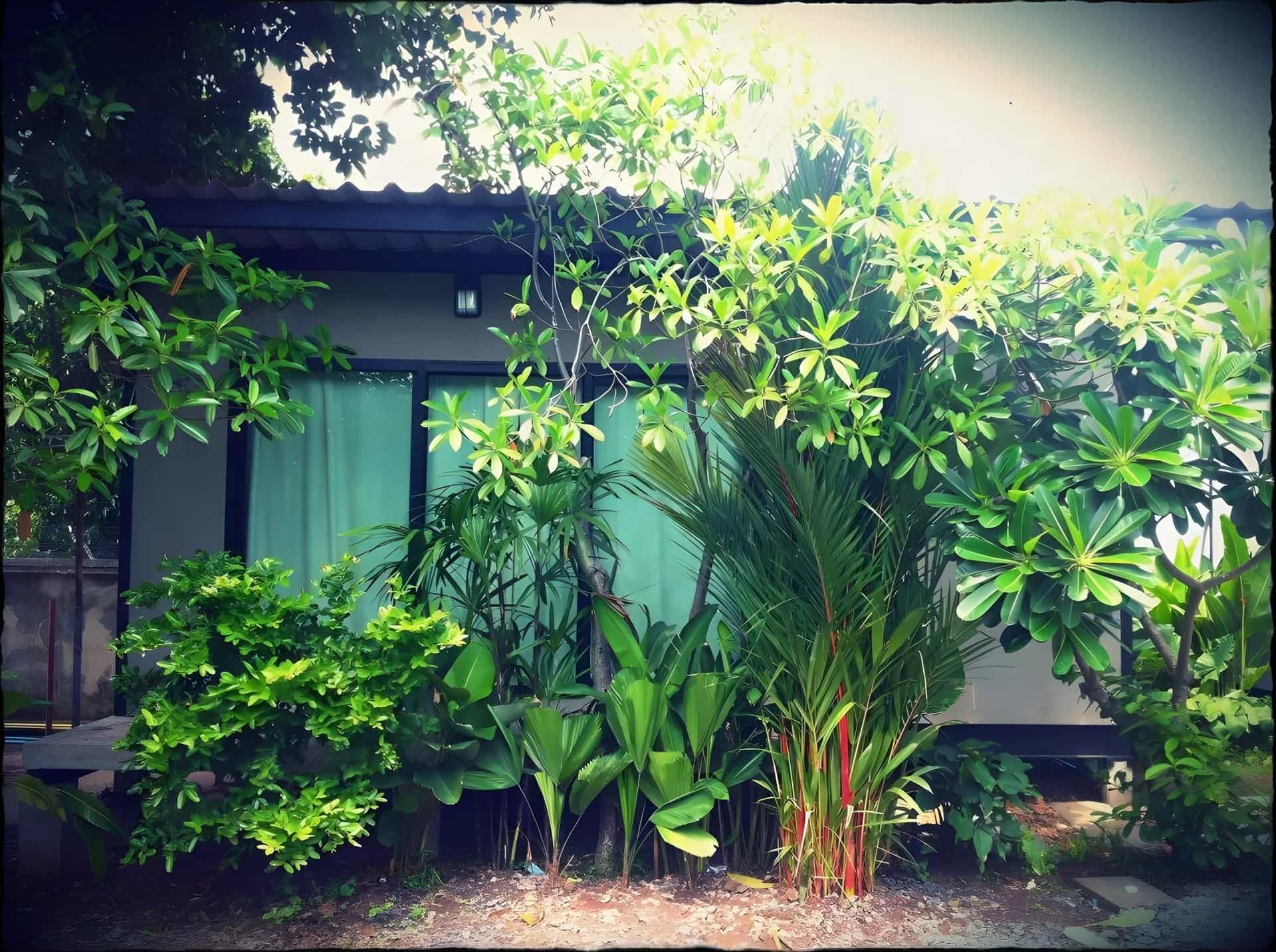 Paanpuanplace