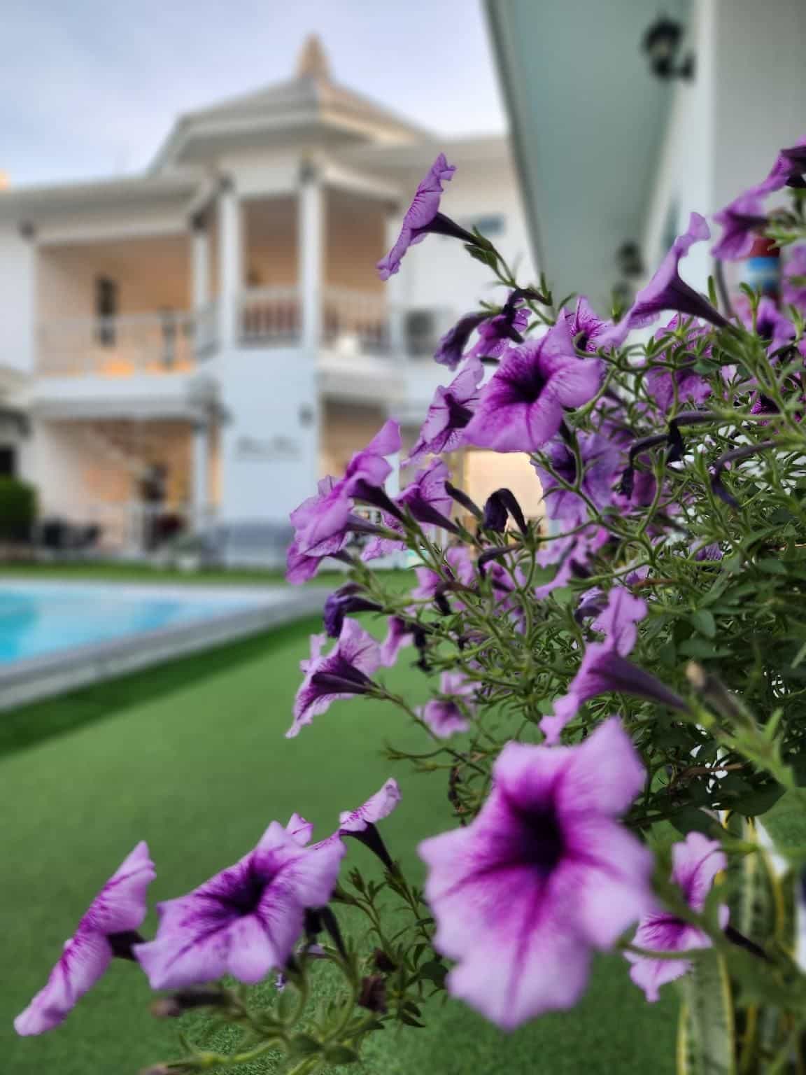 Bianco House Resort Bianco House Resort