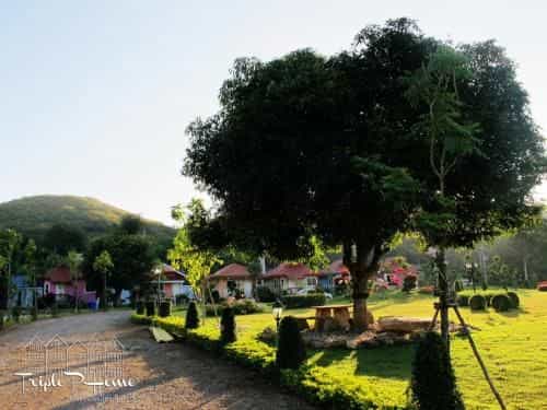 Triple P Home Resort Triple P Home Resort