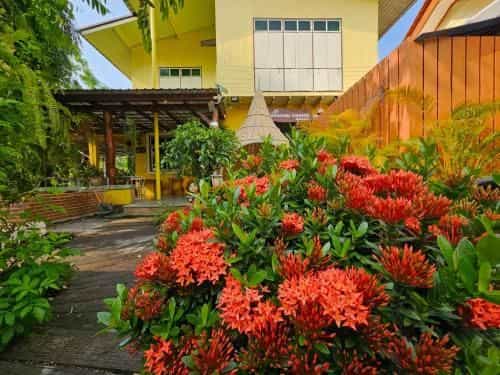 สวนตุงคอฟฟี สวนตุงคอฟฟี