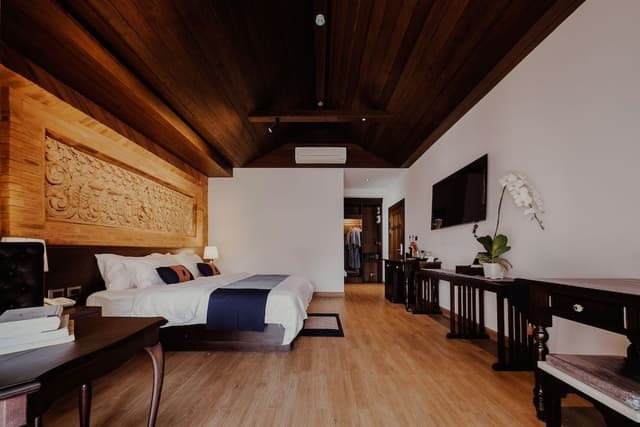 Deluxe Suite, Balcony - Air purifiers