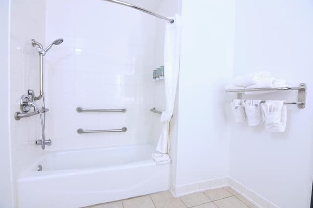 Standard Room, 1 King Bed, Accessible, Bathtub