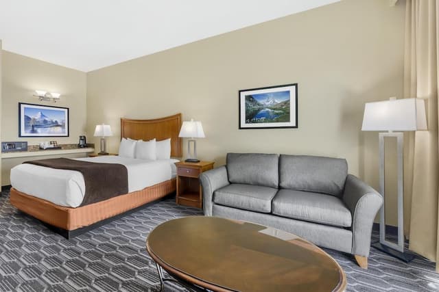 Standard Room, 1 King Bed, Non Smoking, Patio (with Sofabed)