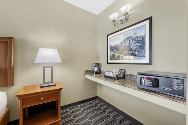 Standard Room, 1 King Bed, Non Smoking, Refrigerator & Microwave (with Sofabed)