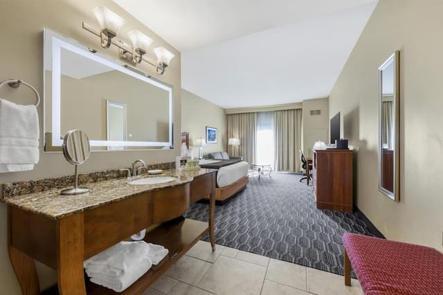 Standard Room, 1 King Bed, Non Smoking, Patio (with Sofabed)
