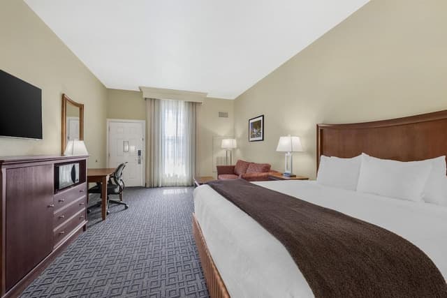 Standard Room, 1 King Bed, Non Smoking, Refrigerator & Microwave (with Sofabed)