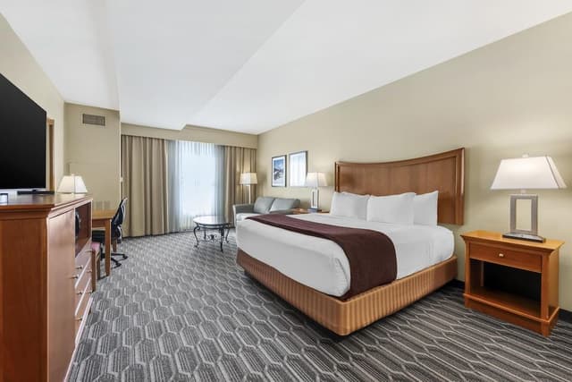 Standard Room, 1 King Bed, Non Smoking, Refrigerator & Microwave (with Sofabed)