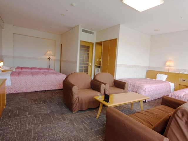 Deluxe Room - Non-Smoking