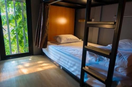 Bunk Bed in Mixed Dormitory Room