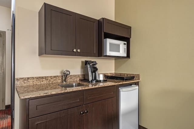 Suite, 1 King Bed, Non Smoking, Kitchenette (with Sofabed)
