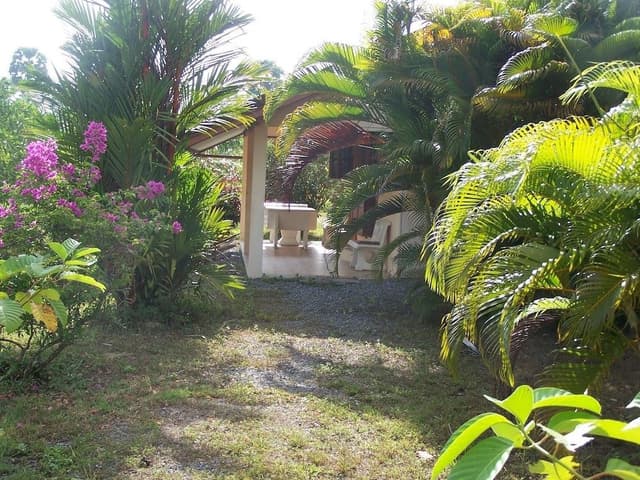 Basic Bungalow, 1 King Bed, Garden View