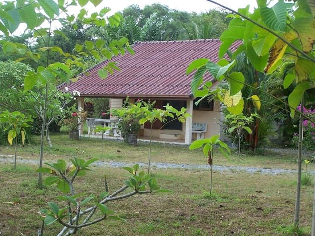 Basic Bungalow, 1 King Bed, Garden View