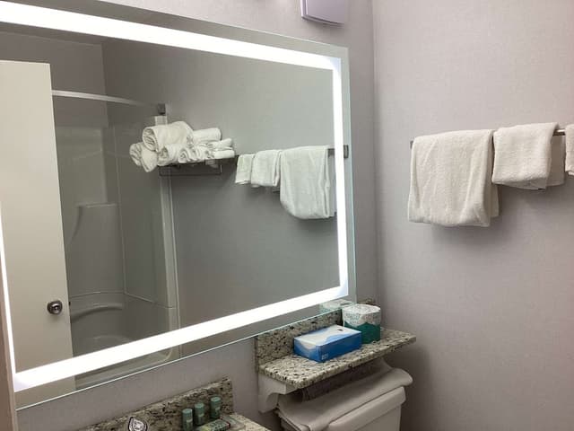 Standard Room, 1 King Bed, Non Smoking, Annex Building (1st Floor;Pet Friendly)