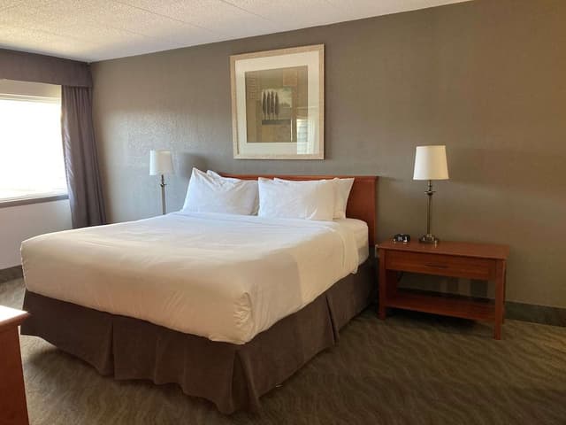 Suite, 1 King Bed with Sofa bed, Non Smoking, Refrigerator & Microwave (with Sofabed)