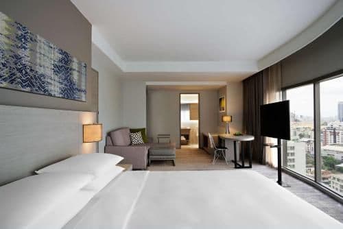View Specialty King (With Sofa Bed)