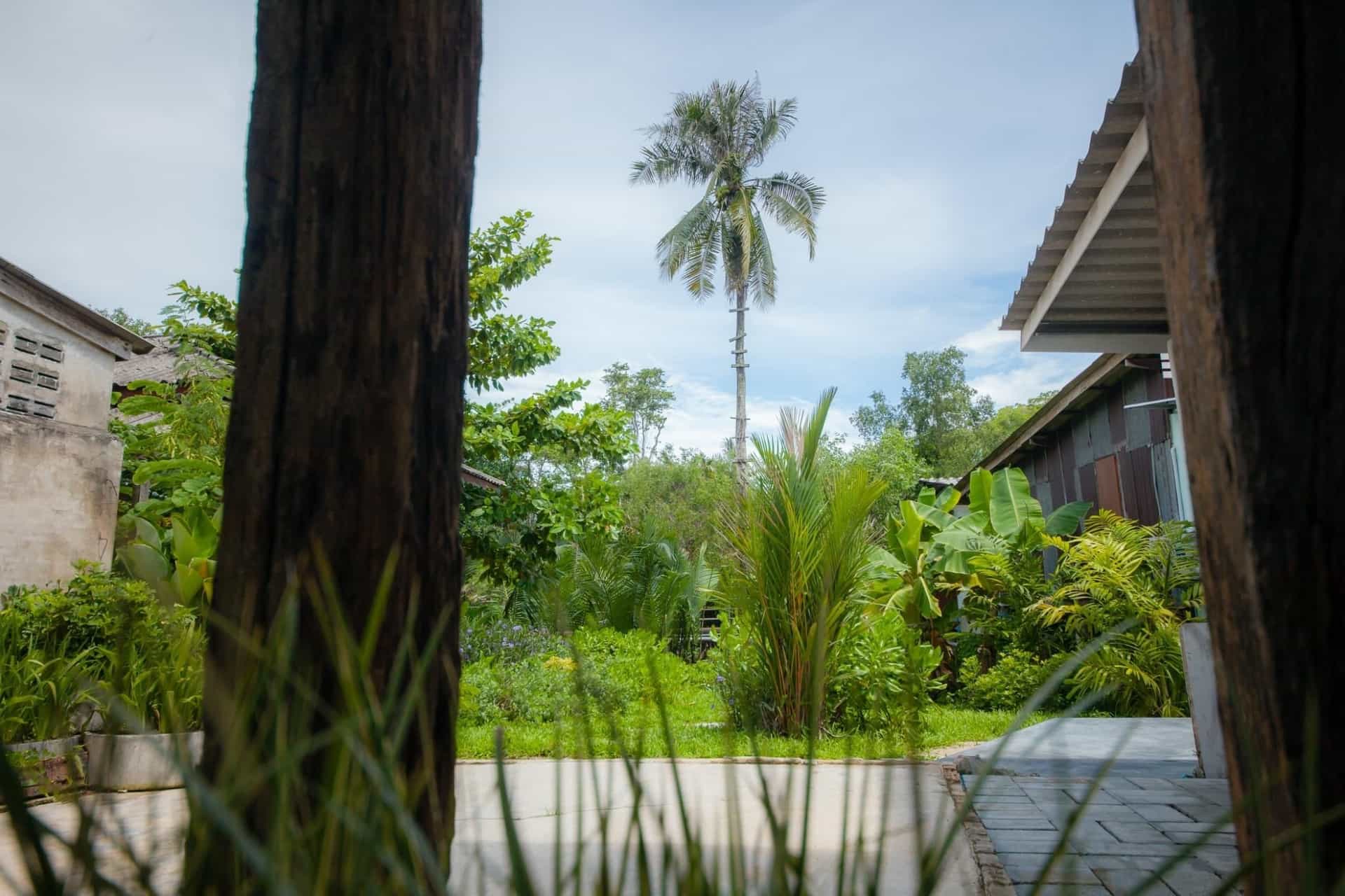 โรงแรมตราด 101 โรงแรมตราด 101