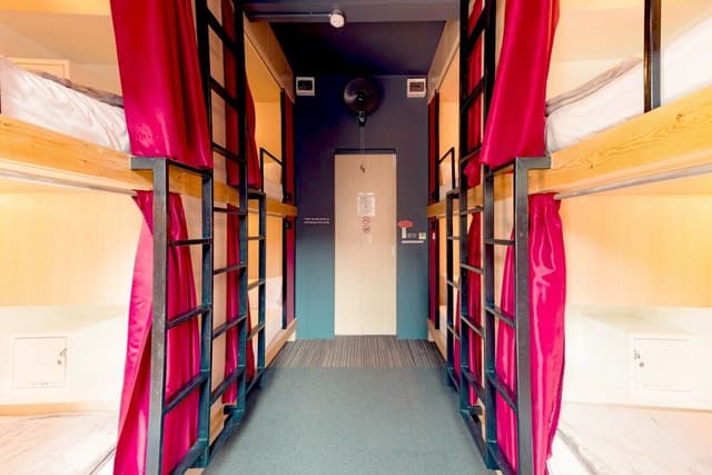 Shared 8 Mixed Dorm