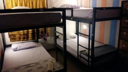 Bunk Bed in Male Dormitory Room