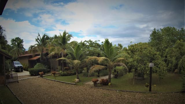 Family Garden View